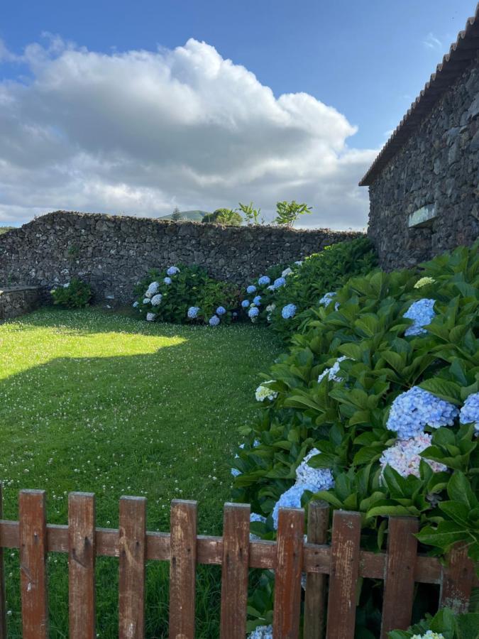 Arrenquinha Guesthouse 1 São Vicente Ferreira Exteriör bild