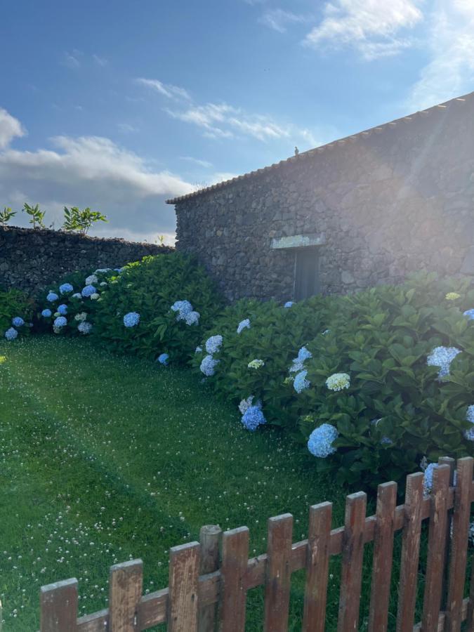 Arrenquinha Guesthouse 1 São Vicente Ferreira Exteriör bild